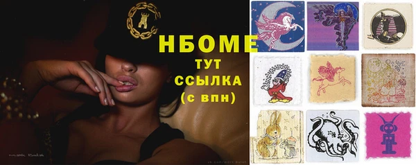 прущие грибы Горняк