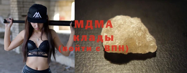 прущие грибы Горняк