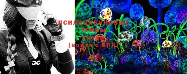 спиды Вязьма