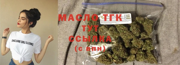 прущие грибы Горняк