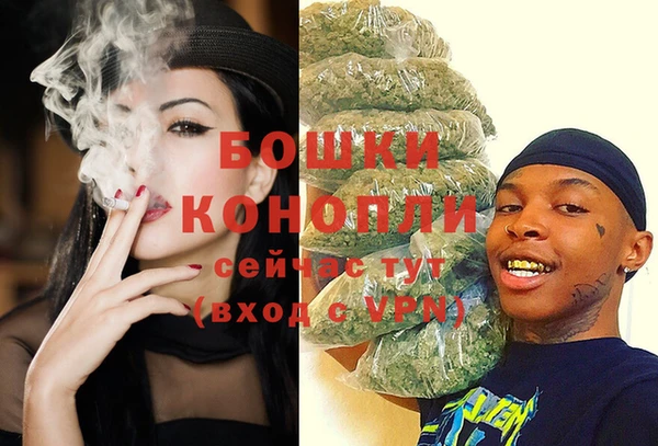 прущие грибы Горняк