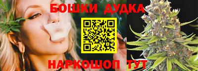 хмурый Бийск
