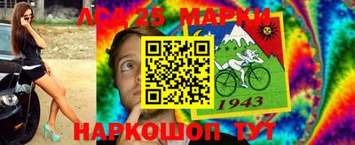 хмурый Бийск