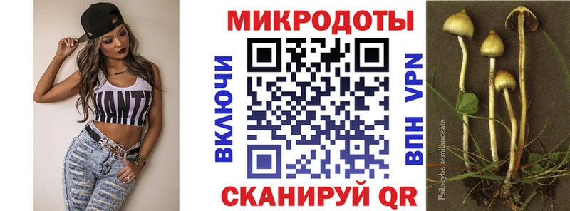 Псилоцибиновые грибы MAGIC MUSHROOMS  закладка  Верхняя Салда 
