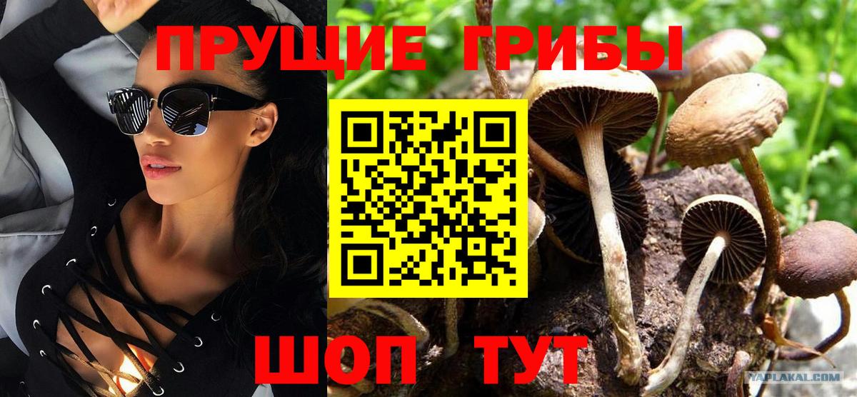 Псилоцибиновые грибы мухоморы Верхняя Салда