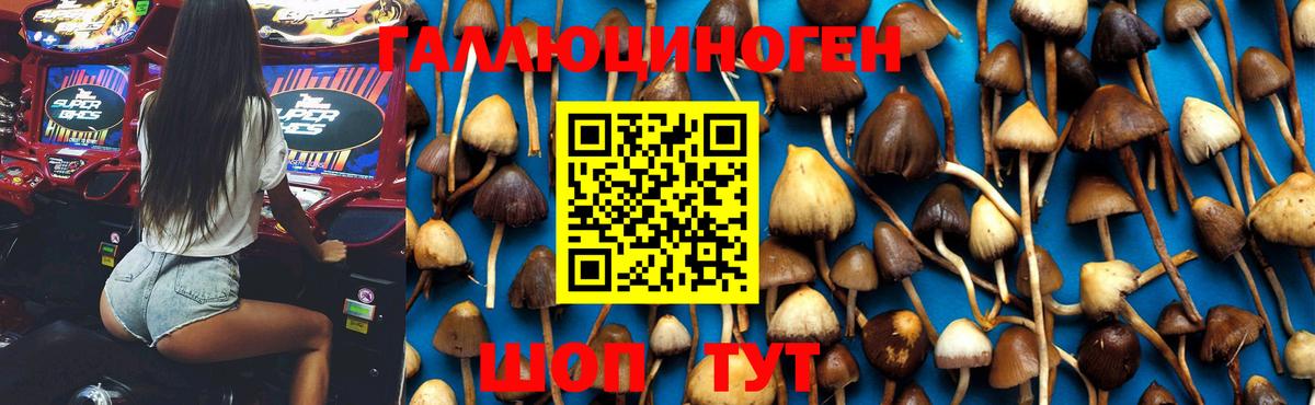 Псилоцибиновые грибы Magic Shrooms Верхняя Салда