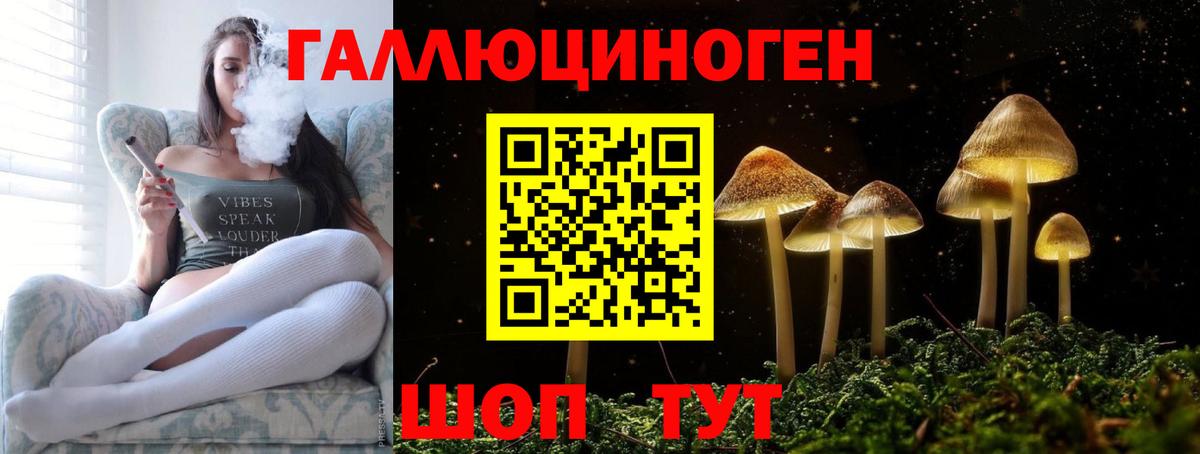 Псилоцибиновые грибы Psilocybine cubensis  Верхняя Салда 