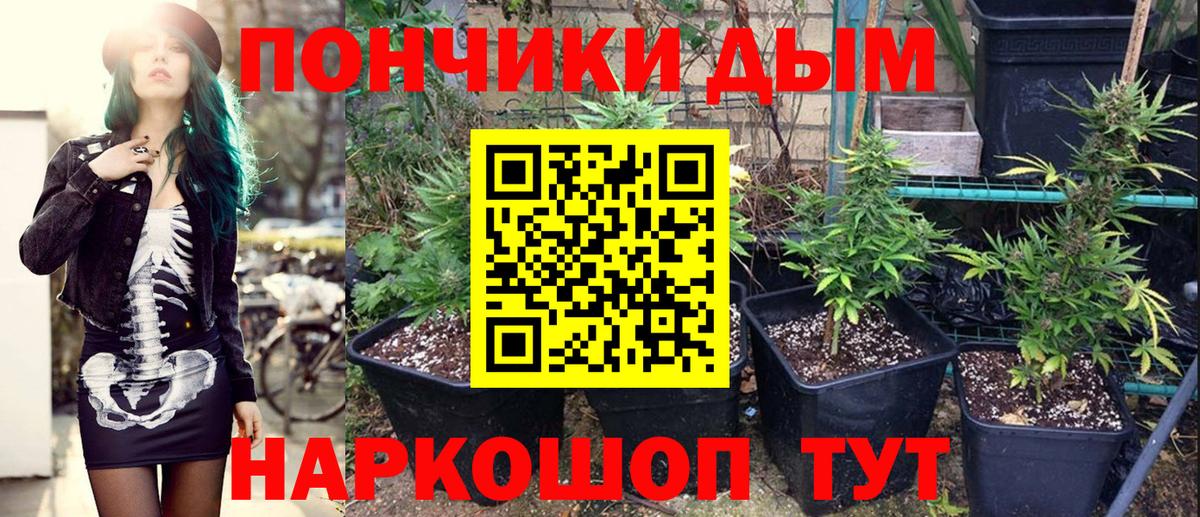 Марихуана сатива Верхняя Салда